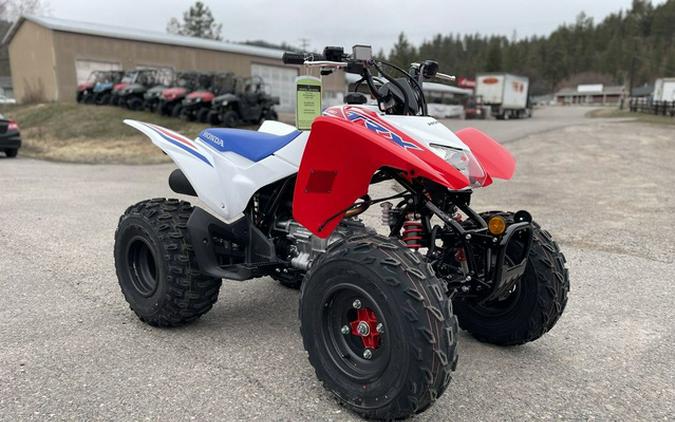 2026 Honda TRX 250X