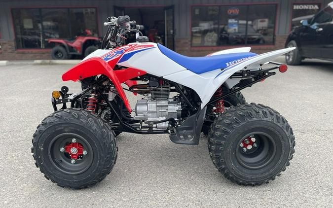 2026 Honda TRX 250X