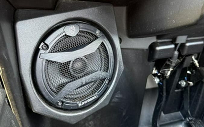 2024 Kawasaki Teryx4 S SE