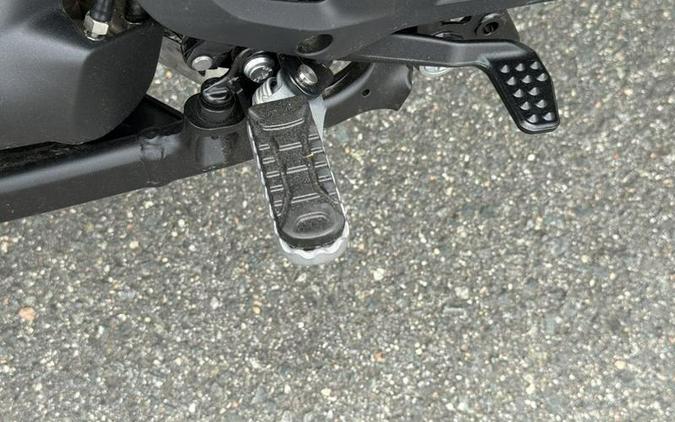 2026 BMW R 1300 GS Triple Black