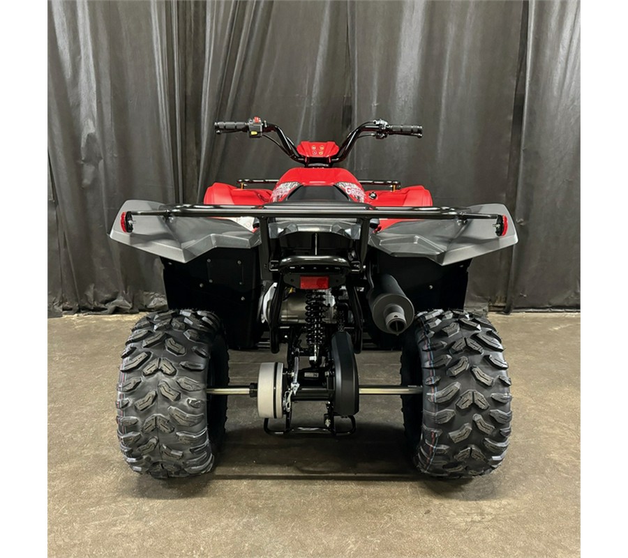 2025 Yamaha Grizzly 110