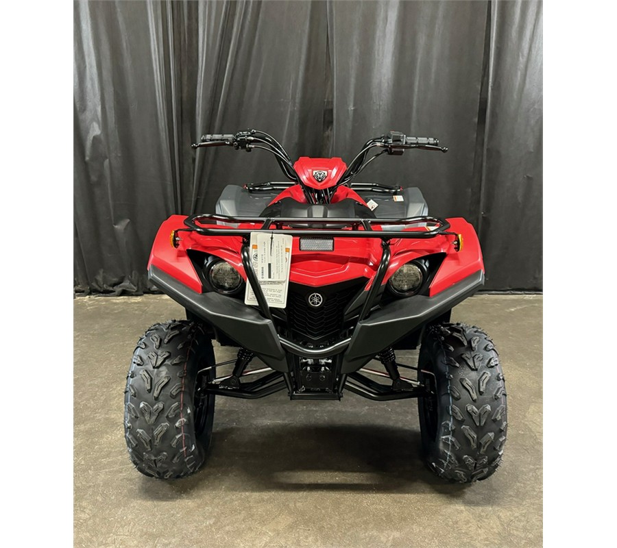 2025 Yamaha Grizzly 110