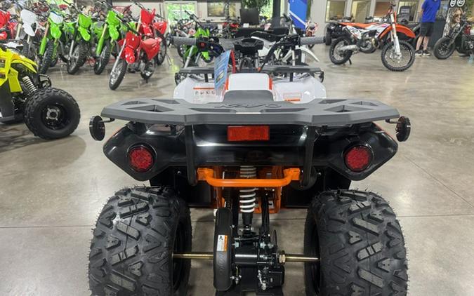 2026 Kayo Bull 125 EFI