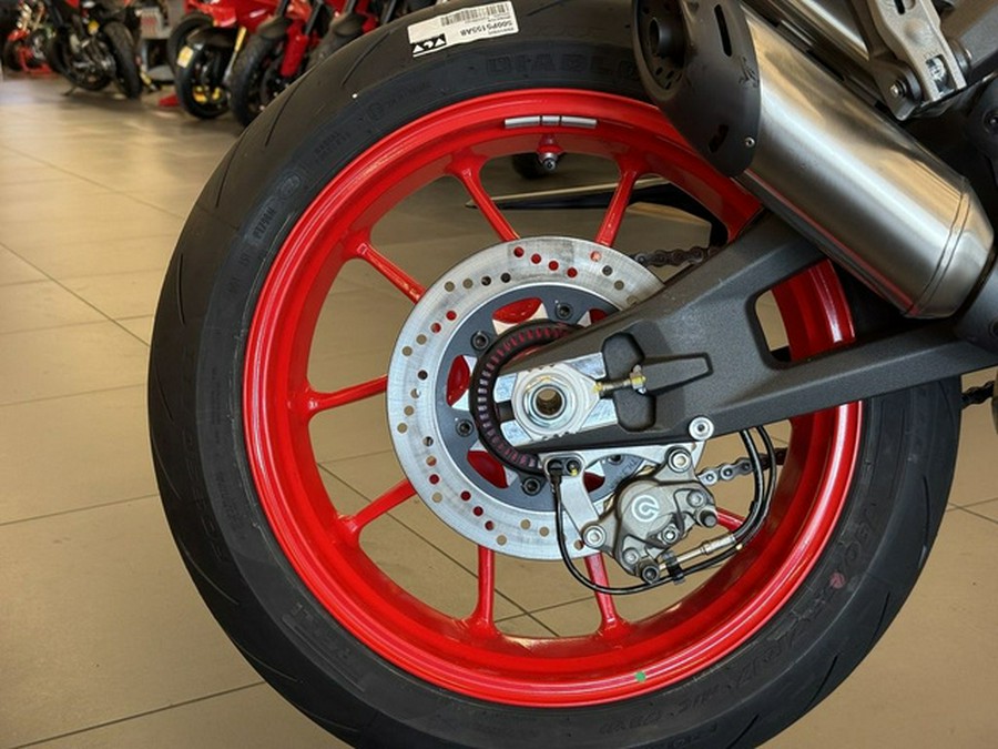 2026 Ducati Monster Plus Aviator Grey