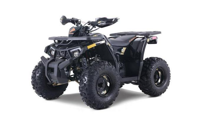 2026 Denago Powersports Mudhawk 10 FI