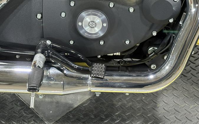2015 Harley-Davidson Iron 883 Black Denim