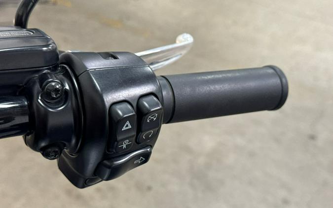 2024 Harley-Davidson Freewheeler