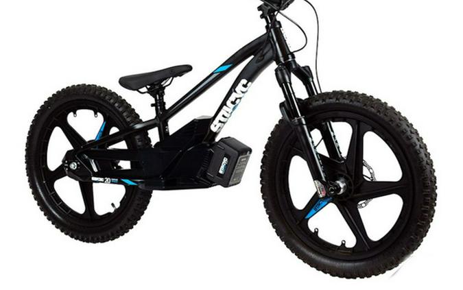 2025 Stacyc 20Edrive