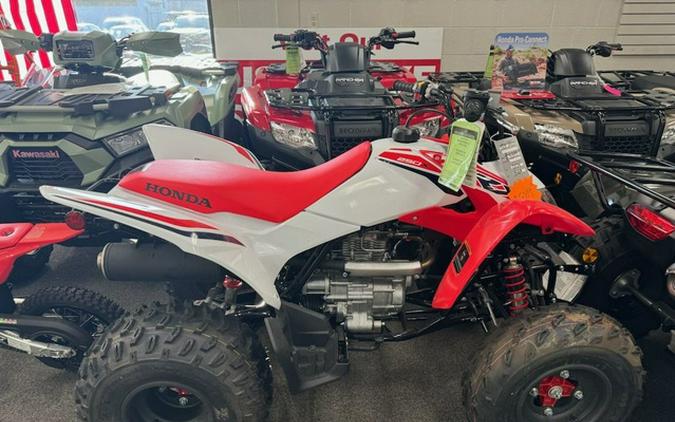 2024 Honda TRX 250X