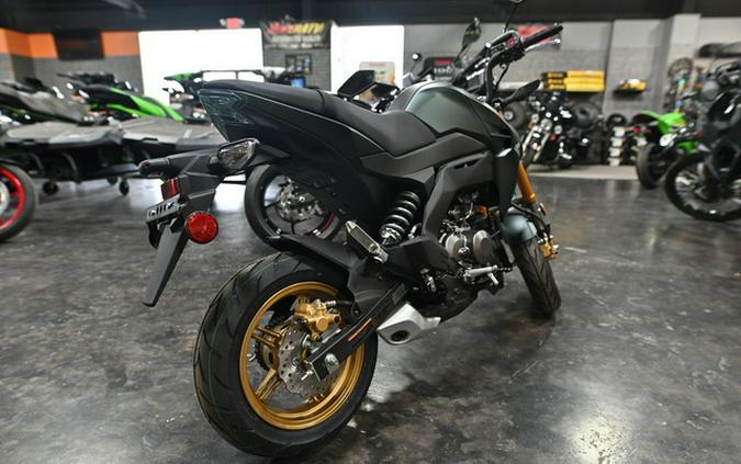2025 Kawasaki Z125 PRO