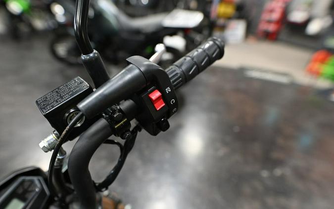 2025 Kawasaki Z125 PRO