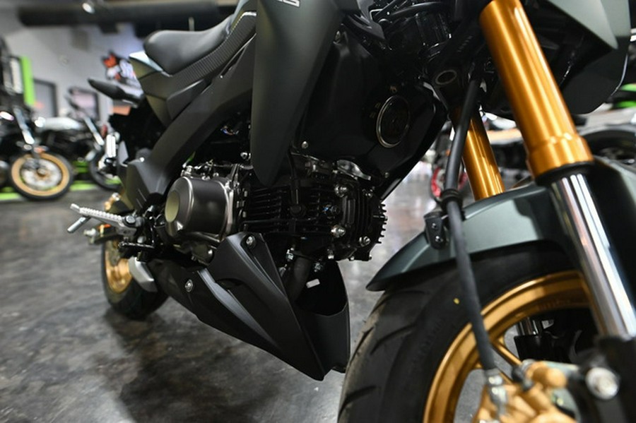 2025 Kawasaki Z125 PRO