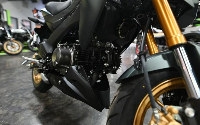2025 Kawasaki Z125 PRO
