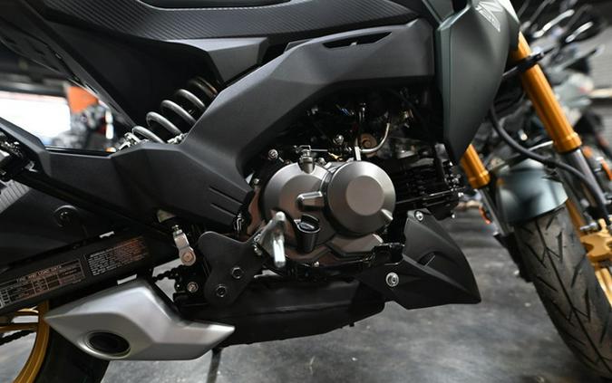 2025 Kawasaki Z125 PRO