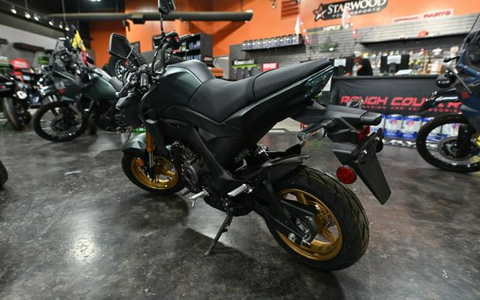 2025 Kawasaki Z125 PRO