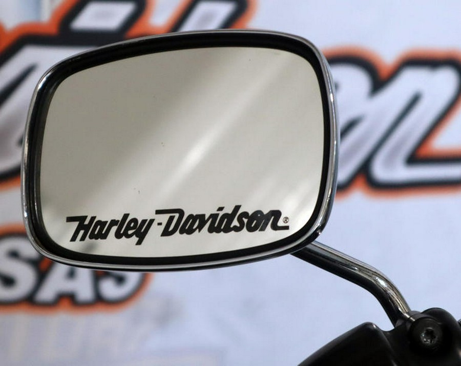 2008 Harley-Davidson® FLSTN - Softail® Deluxe