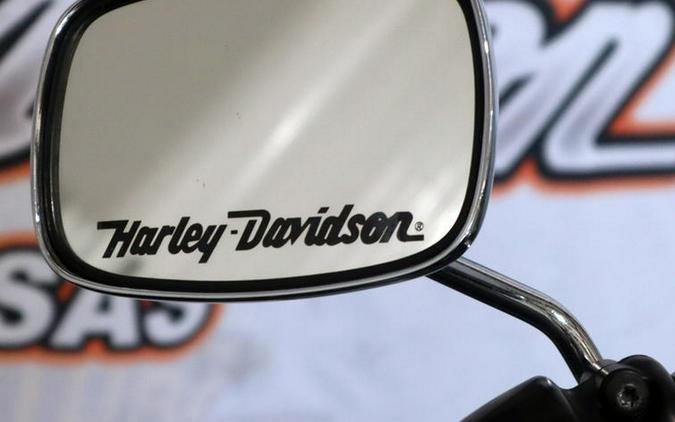 2008 Harley-Davidson® FLSTN - Softail® Deluxe