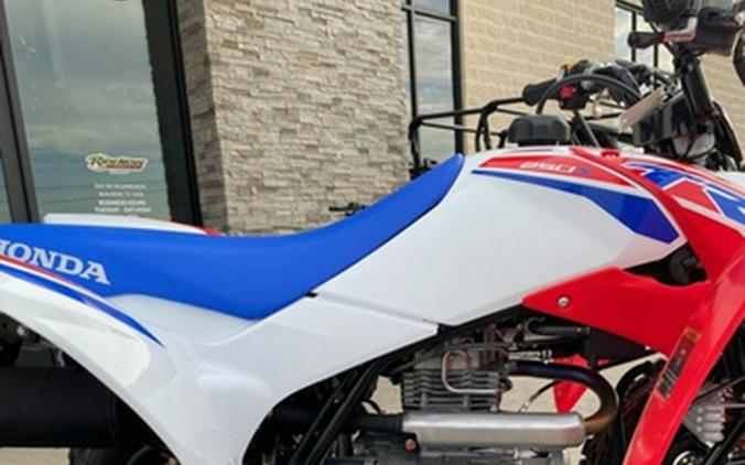 2026 Honda TRX 250X
