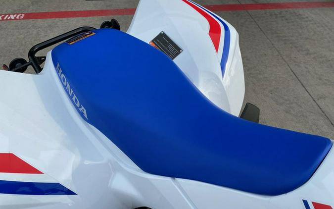 2026 Honda TRX 250X