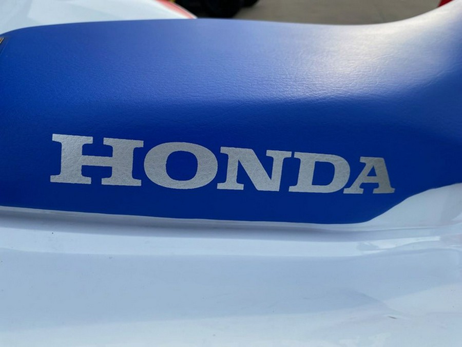 2026 Honda TRX 250X