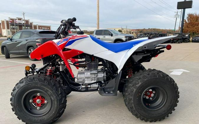 2026 Honda TRX 250X