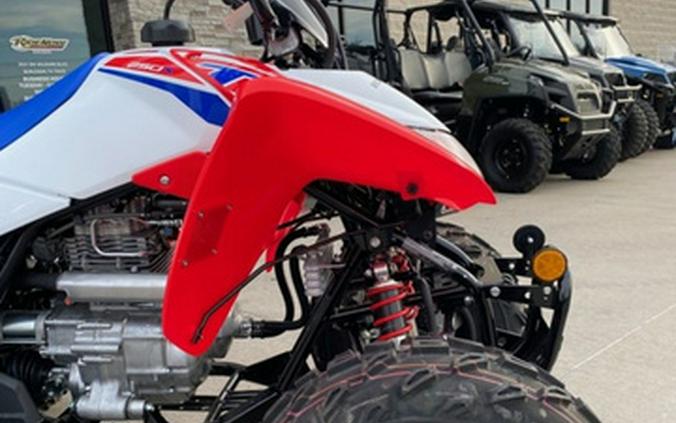 2026 Honda TRX 250X