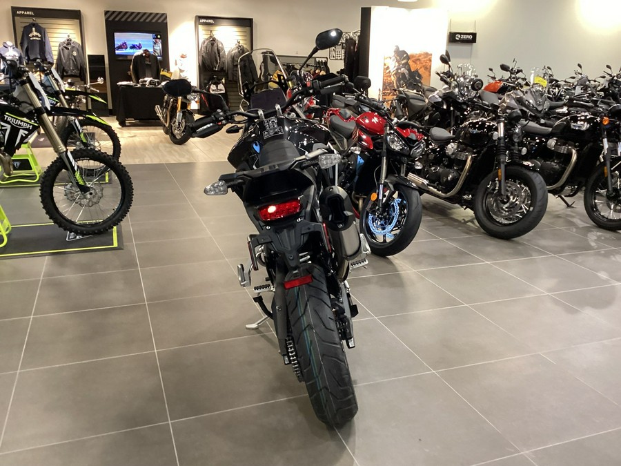 2024 Triumph Tiger 900 Rally Pro