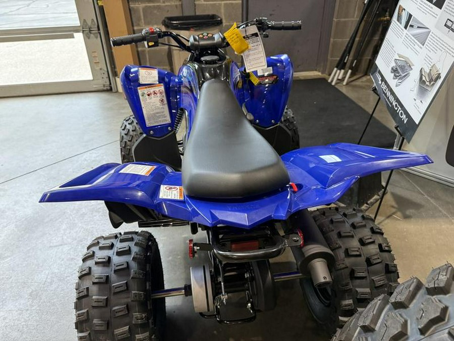 2025 Yamaha Raptor 110
