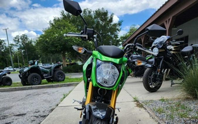 2024 Kawasaki Z125 PRO