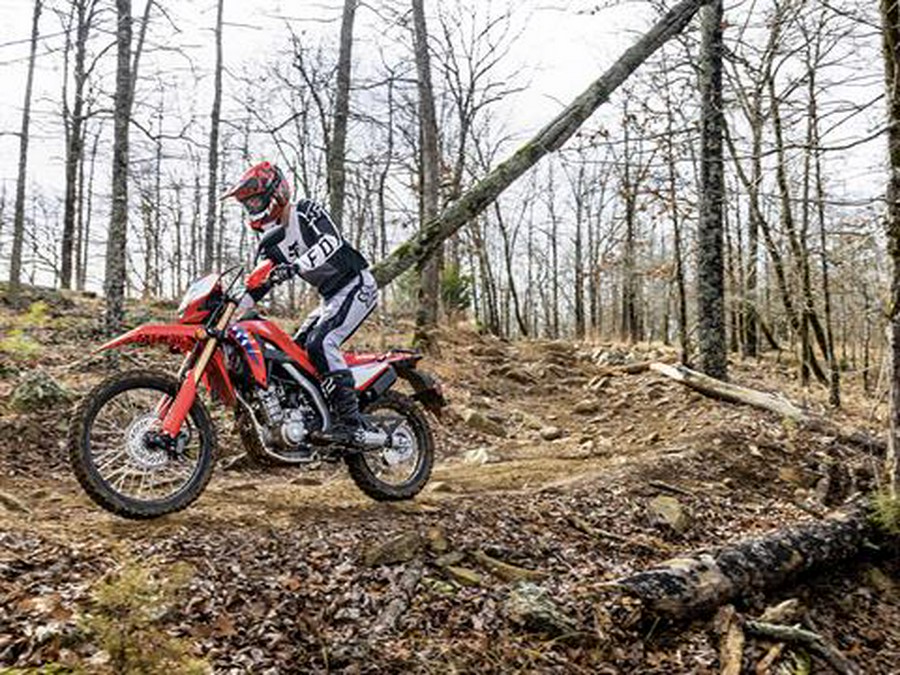 2025 Honda CRF300L ABS