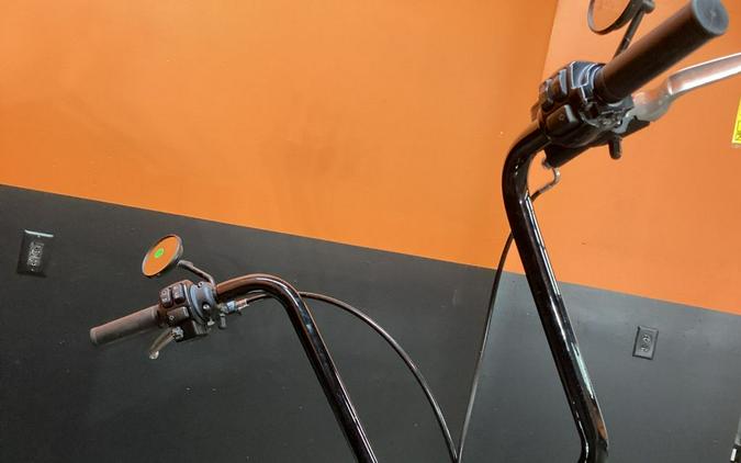 2017 Harley-Davidson® FLSTN - Softail® Deluxe