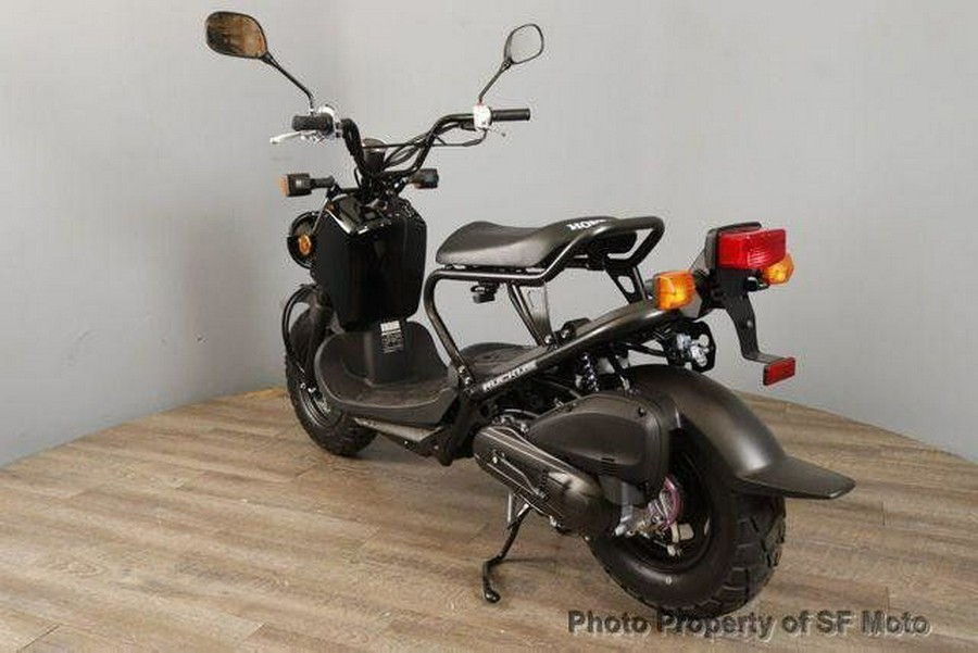 2024 Honda Ruckus