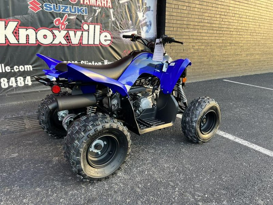 2024 Yamaha Raptor 110