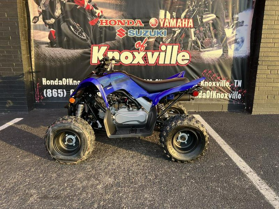 2024 Yamaha Raptor 110