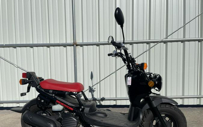 2019 Honda Ruckus