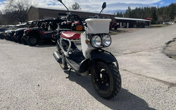 2013 Honda Ruckus Base