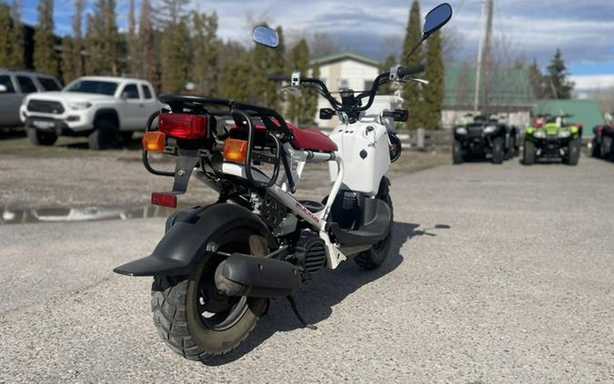 2013 Honda Ruckus Base