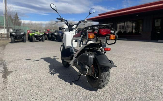 2013 Honda Ruckus Base