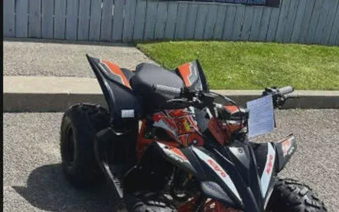 2025 KAYO PREDATOR 110