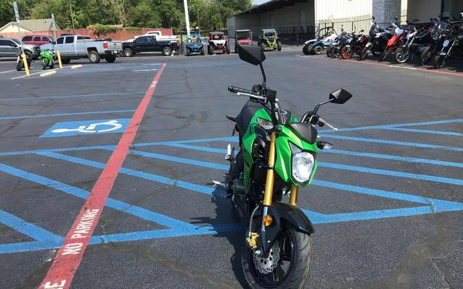 2024 Kawasaki Z125 PRO