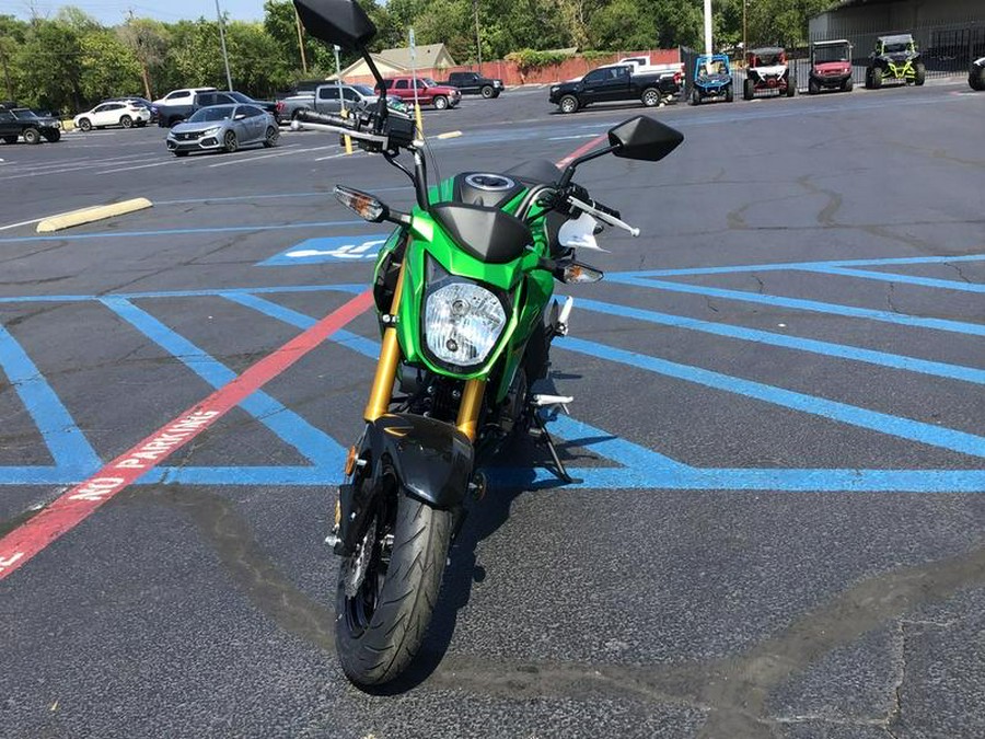 2024 Kawasaki Z125 PRO