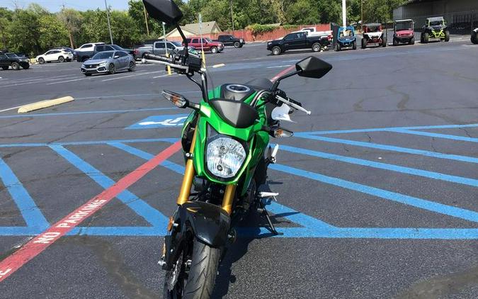 2024 Kawasaki Z125 PRO