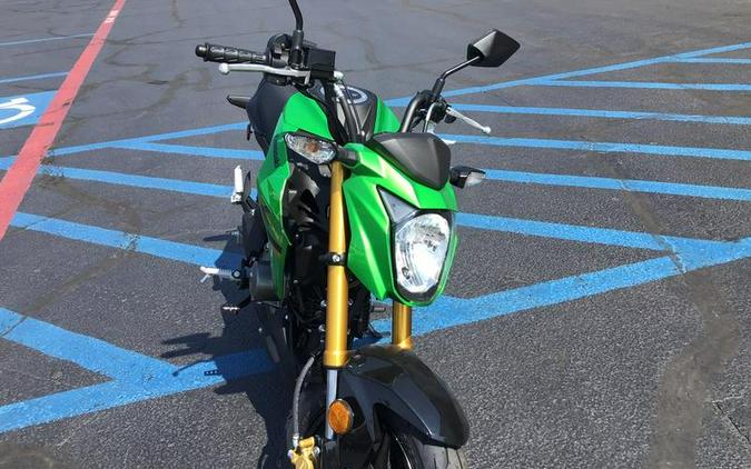 2024 Kawasaki Z125 PRO