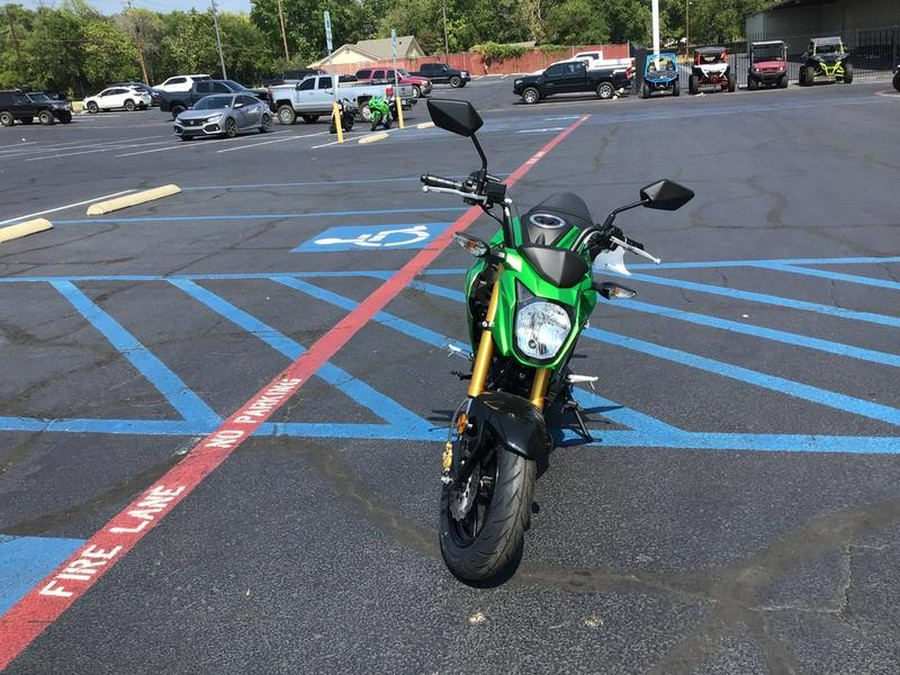 2024 Kawasaki Z125 PRO