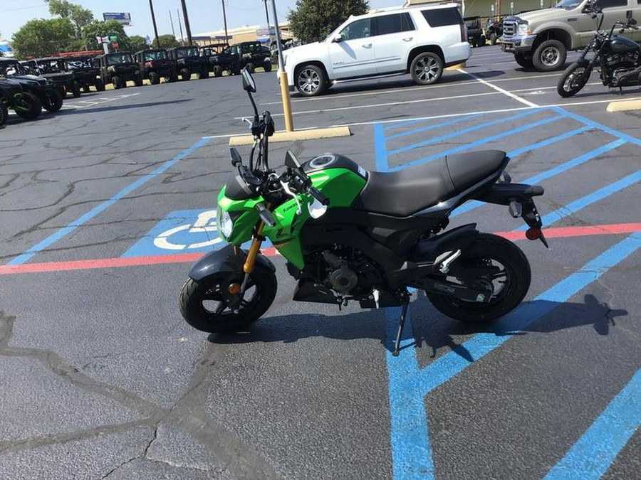 2024 Kawasaki Z125 PRO