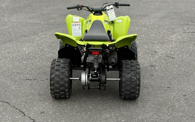 2026 Yamaha Raptor 110