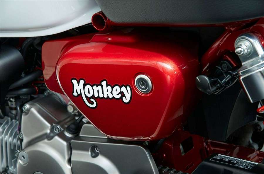 2019 Honda Monkey ABS