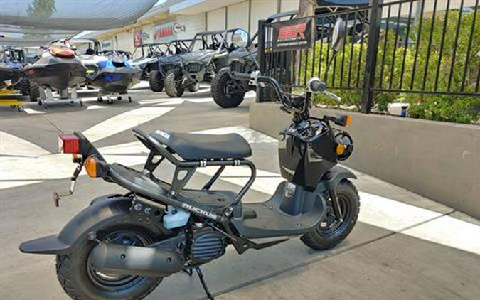 2024 Honda Ruckus