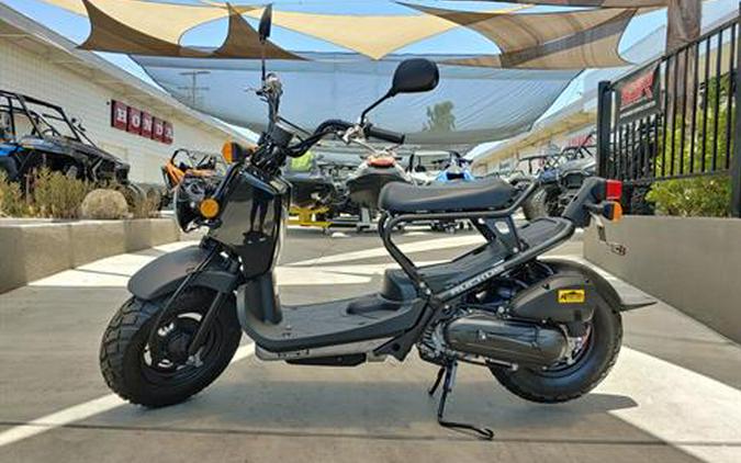 2024 Honda Ruckus