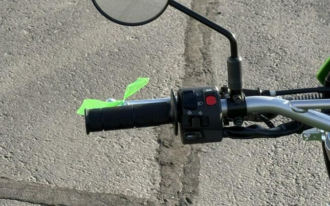 2027 Kawasaki KLX233BVFNN